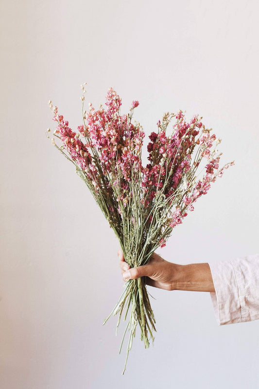 Dried Flowers, Pink Larkspur, Idlewild Floral Co.