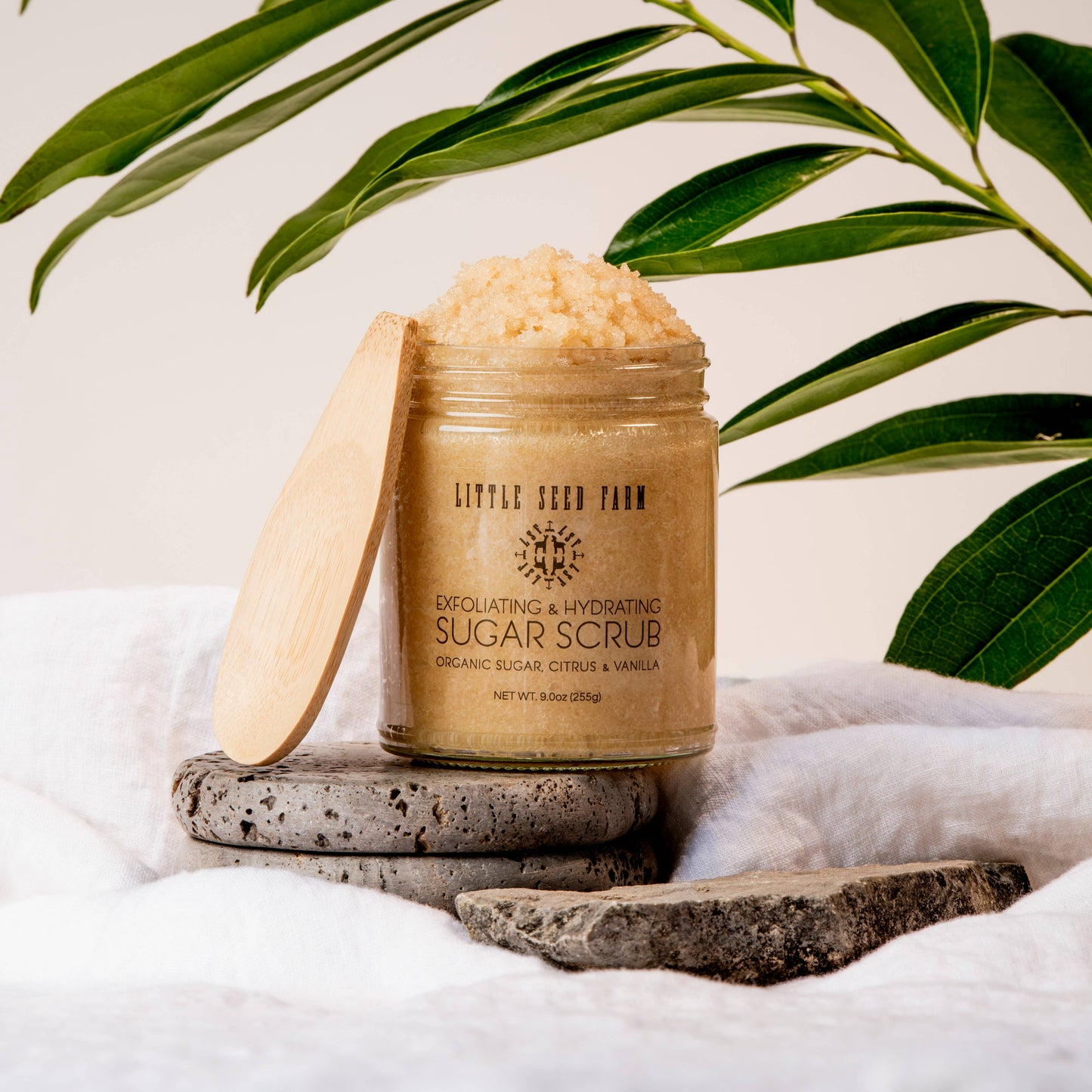Citrus Sugar Scrub