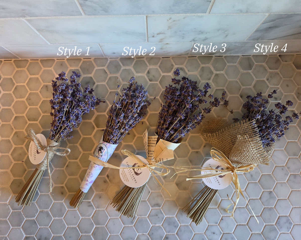 Dried Flowers, Lavender Posies (Mini), Cavalli Farms