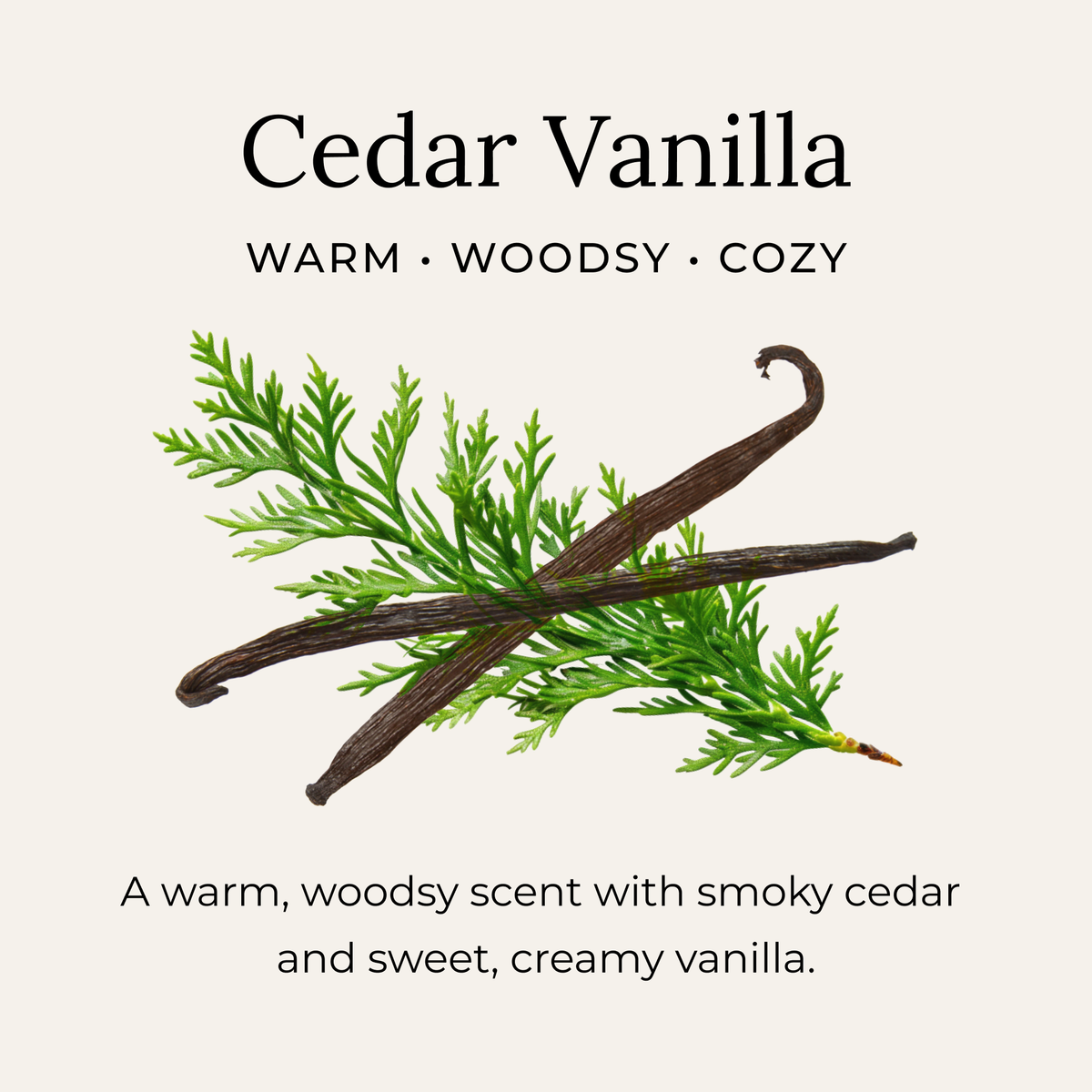 Deodorant Cream, Cedar Vanilla, Little Seed Farm