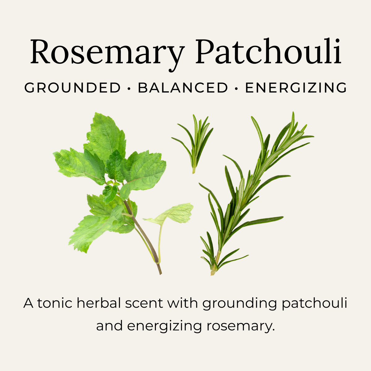 Rosemary Patchouli scent notes
