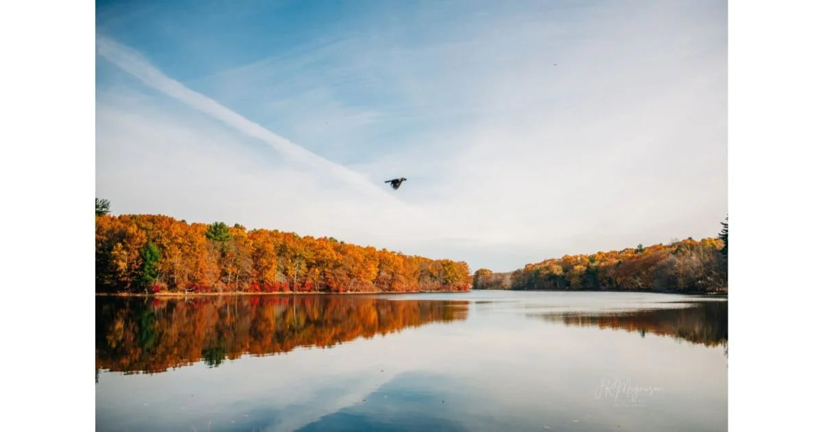 Fly By