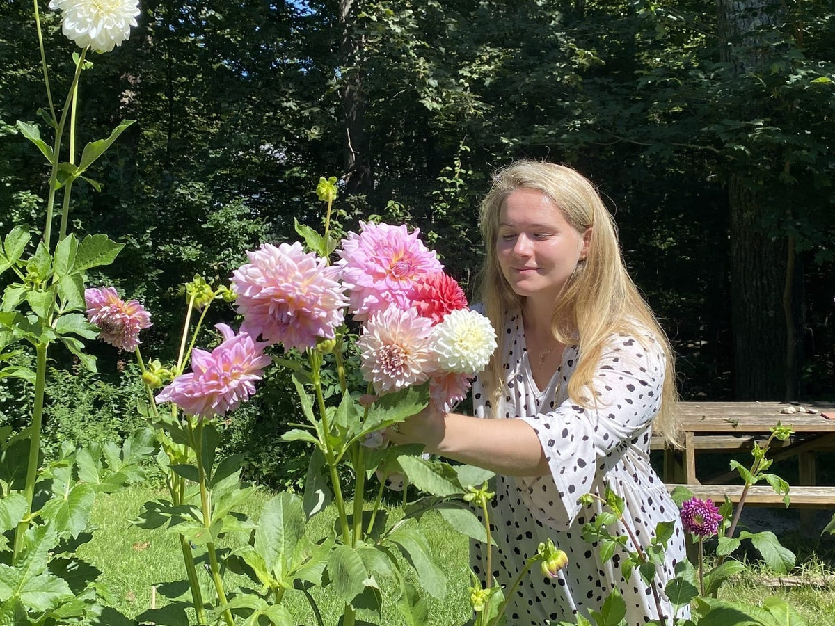 Workshop, Floral Arranging