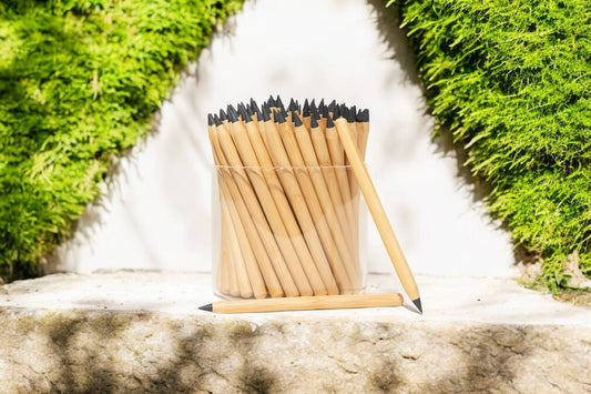 Bamboo Switch never ending bamboo pencil, original modern