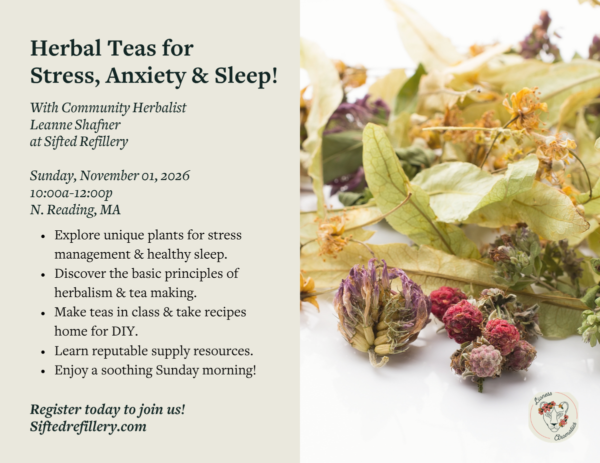 Herbal Teas for Stress, Anxiety and Sleep workshop flyer, Sunday November 1, 2026, 10am to noon at Sifted Refillery