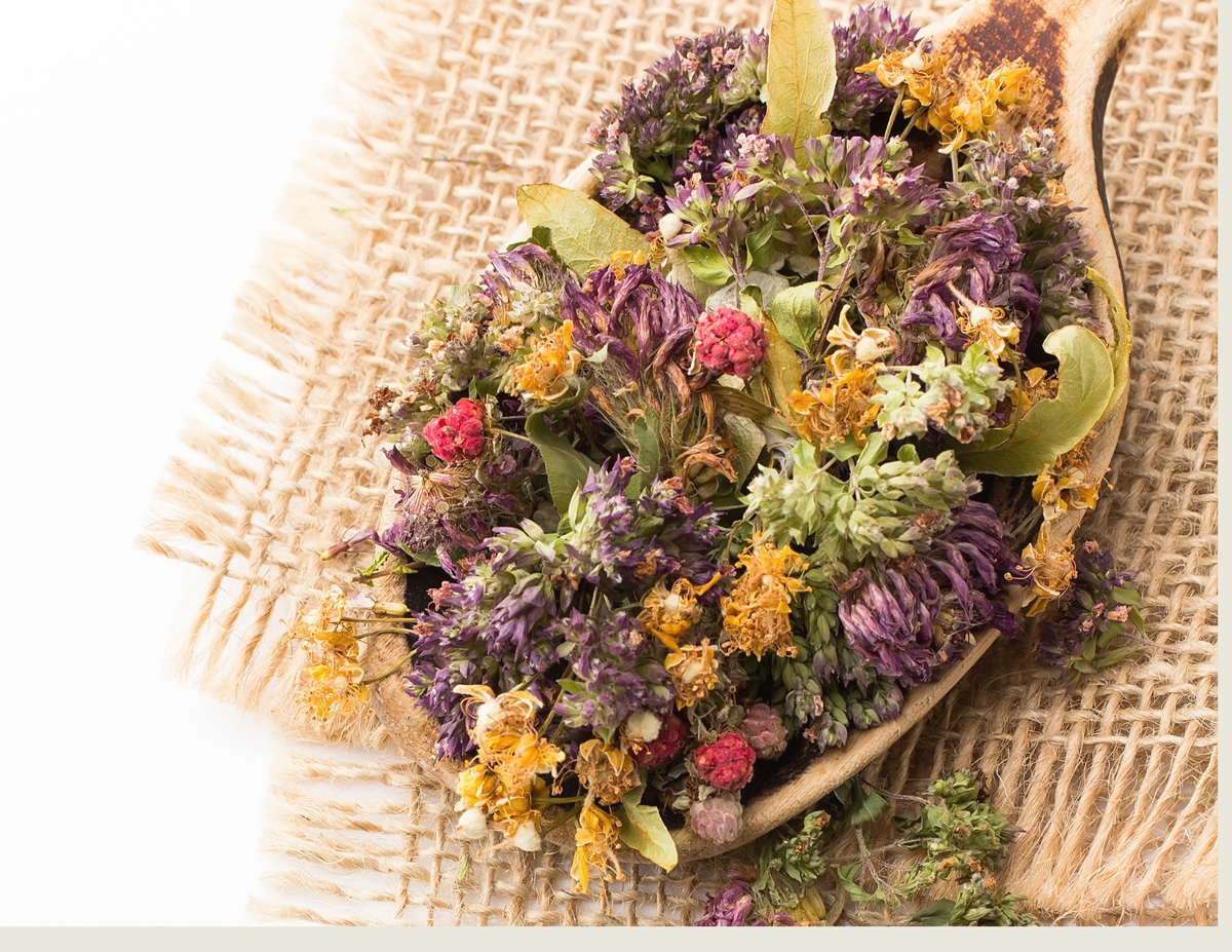 Dried medicinal herbs and flowers in a wooden spoon on burlap for an herbal tea workshop