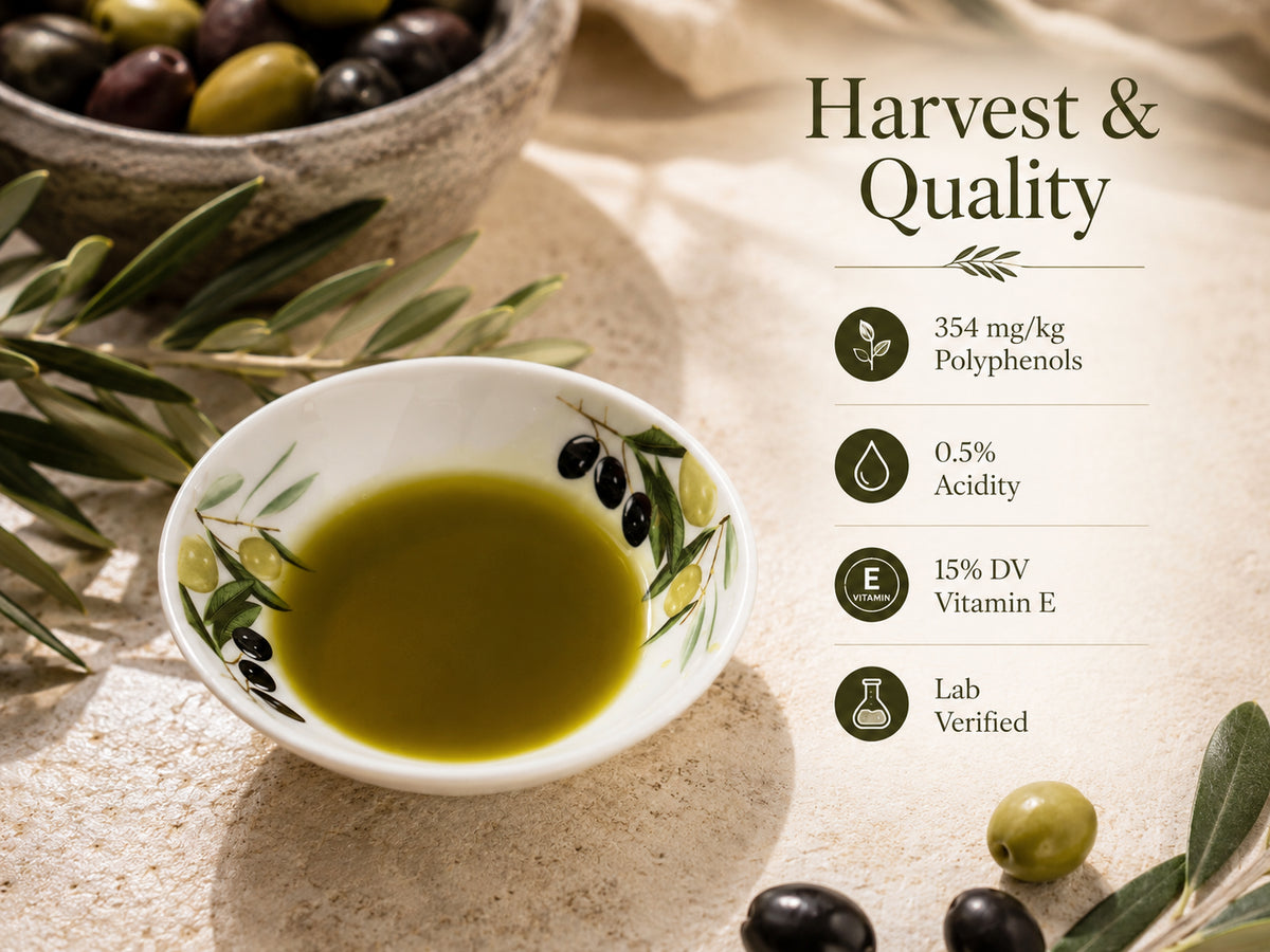 Ygeia 2025 harvest quality: 354 mg/kg polyphenols, 0.5% acidity